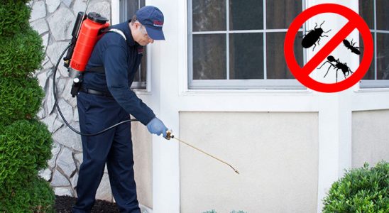 Buca Koop Haşere İlaçlama böcek ilaçlama ve haşere kontrolü — ilaclama-tr.com
